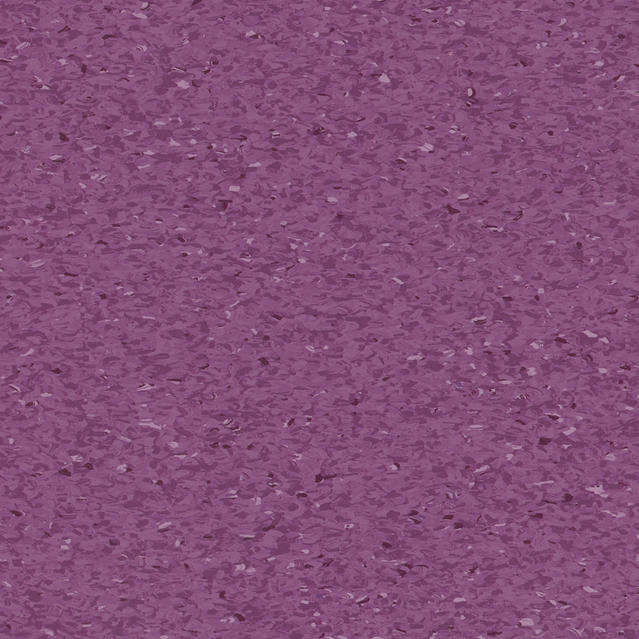 34-grant-medium-violet-451